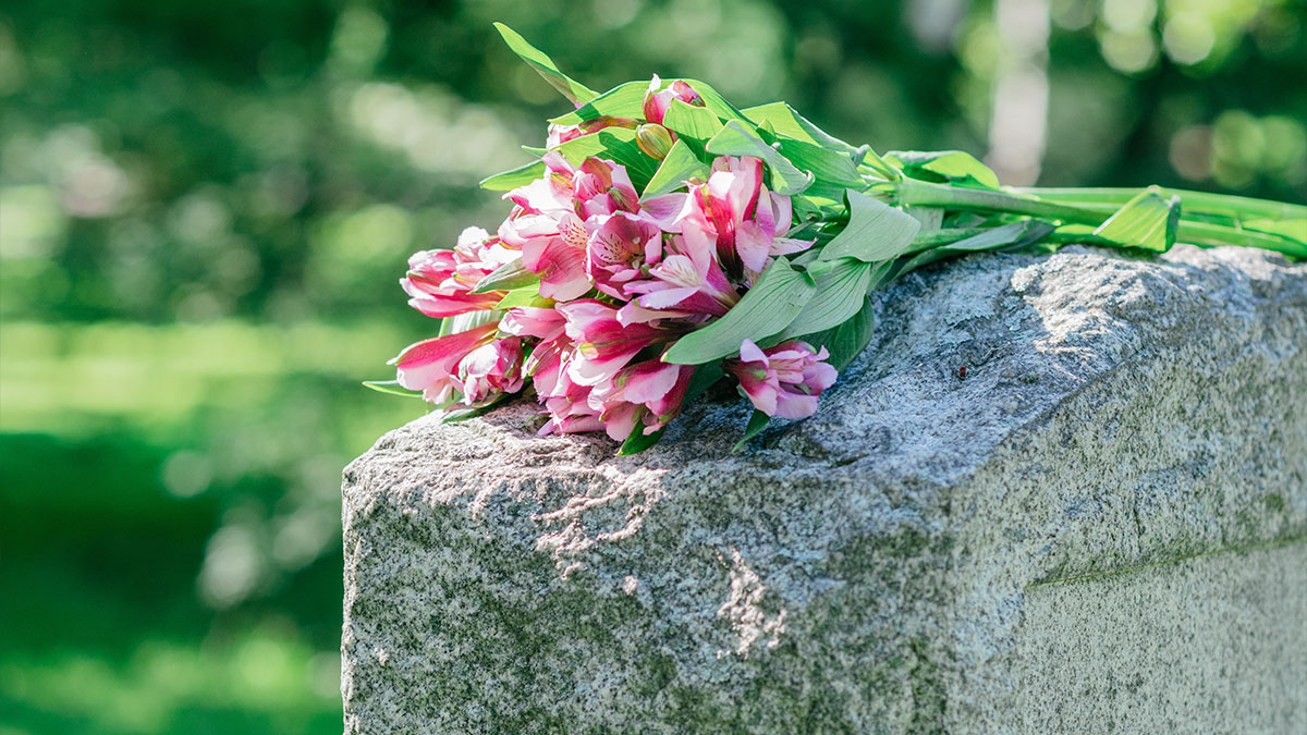 close-up-of-pink-flowers-laying-on-top-of-a-gravestone-in-a-cemetary